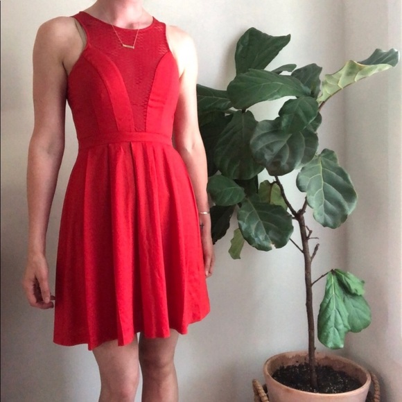 C. Luce red dress with mesh inlay size small - Picture 4 of 7